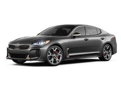 Stinger